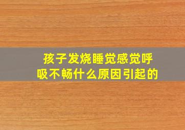 孩子发烧睡觉感觉呼吸不畅什么原因引起的