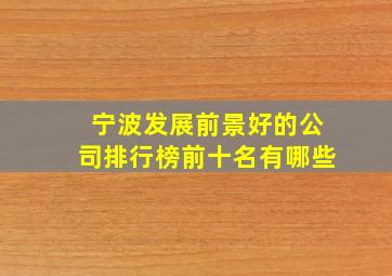 宁波发展前景好的公司排行榜前十名有哪些