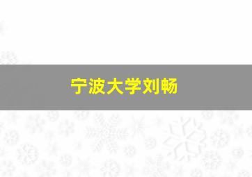 宁波大学刘畅