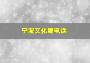 宁波文化局电话