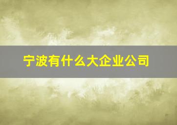 宁波有什么大企业公司