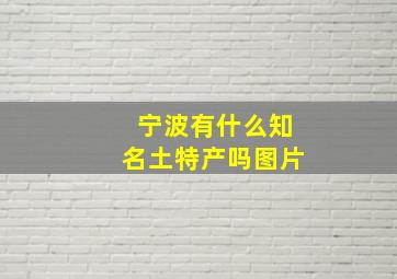 宁波有什么知名土特产吗图片