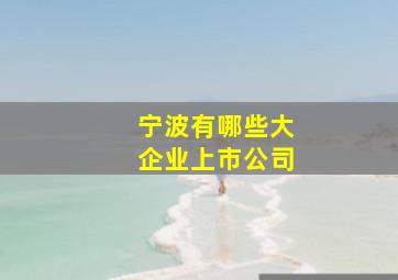 宁波有哪些大企业上市公司