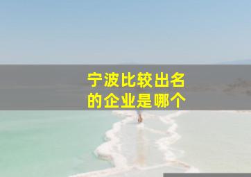 宁波比较出名的企业是哪个