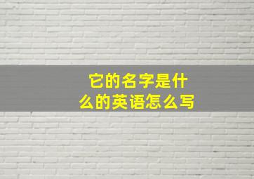 它的名字是什么的英语怎么写