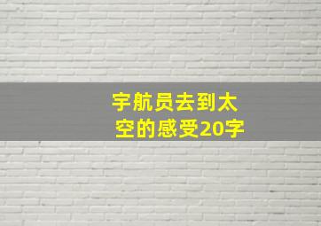 宇航员去到太空的感受20字