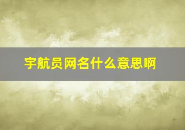 宇航员网名什么意思啊