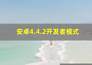 安卓4.4.2开发者模式