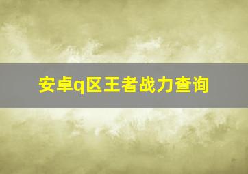 安卓q区王者战力查询