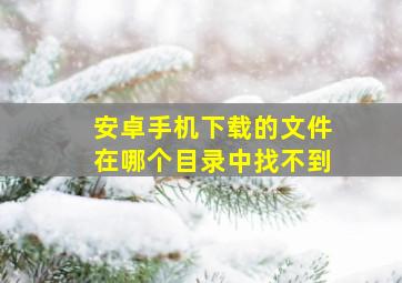 安卓手机下载的文件在哪个目录中找不到