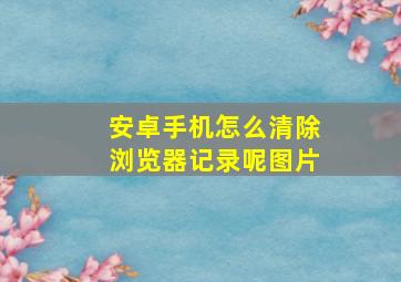 安卓手机怎么清除浏览器记录呢图片