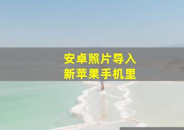 安卓照片导入新苹果手机里