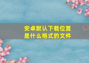 安卓默认下载位置是什么格式的文件