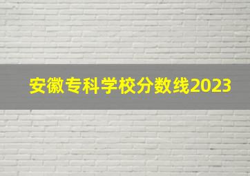 安徽专科学校分数线2023