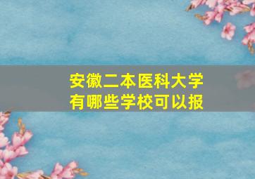 安徽二本医科大学有哪些学校可以报