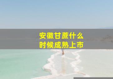 安徽甘蔗什么时候成熟上市