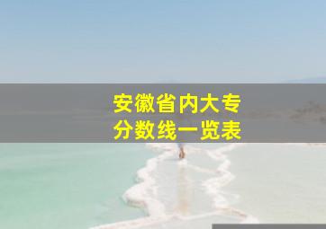 安徽省内大专分数线一览表