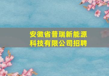 安徽省普瑞新能源科技有限公司招聘