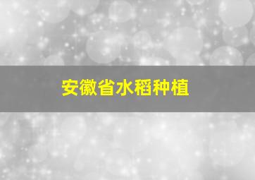 安徽省水稻种植