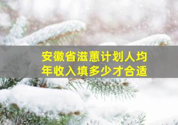 安徽省滋蕙计划人均年收入填多少才合适