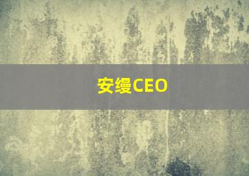 安缦CEO