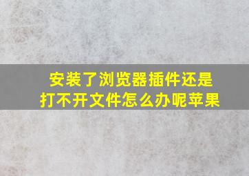 安装了浏览器插件还是打不开文件怎么办呢苹果