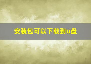 安装包可以下载到u盘