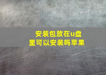 安装包放在u盘里可以安装吗苹果