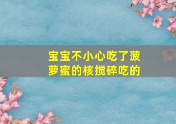 宝宝不小心吃了菠萝蜜的核搅碎吃的