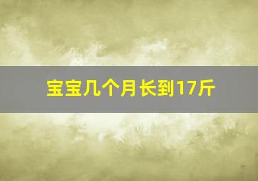 宝宝几个月长到17斤