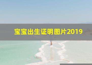 宝宝出生证明图片2019