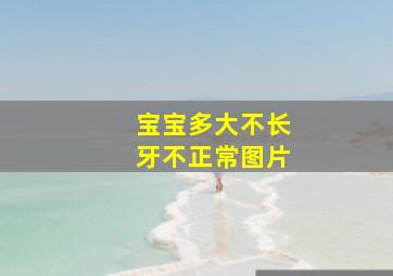 宝宝多大不长牙不正常图片