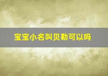 宝宝小名叫贝勒可以吗