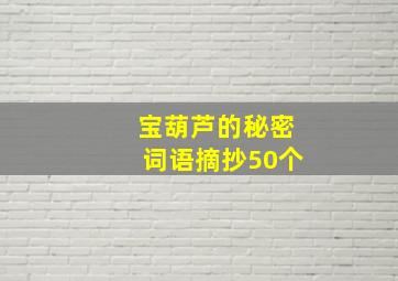 宝葫芦的秘密词语摘抄50个