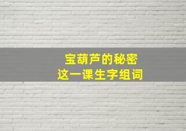 宝葫芦的秘密这一课生字组词