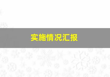 实施情况汇报