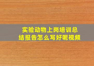 实验动物上岗培训总结报告怎么写好呢视频