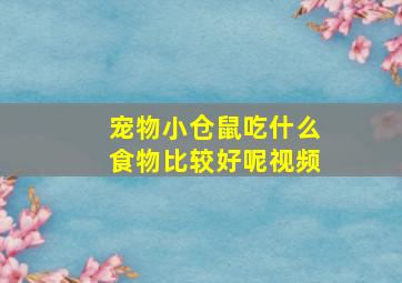 宠物小仓鼠吃什么食物比较好呢视频