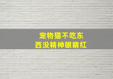 宠物猫不吃东西没精神眼睛红