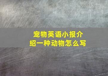 宠物英语小报介绍一种动物怎么写