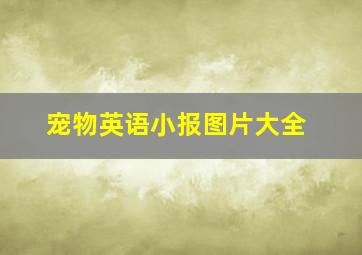 宠物英语小报图片大全