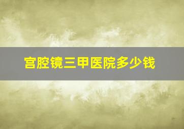 宫腔镜三甲医院多少钱