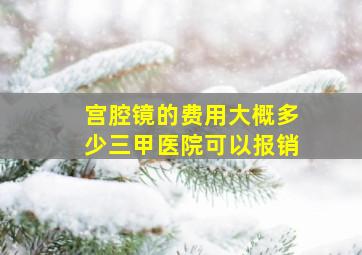 宫腔镜的费用大概多少三甲医院可以报销