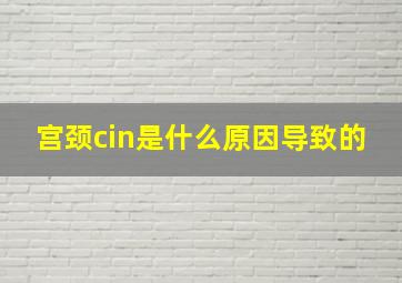 宫颈cin是什么原因导致的