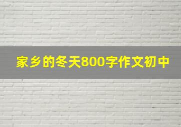 家乡的冬天800字作文初中