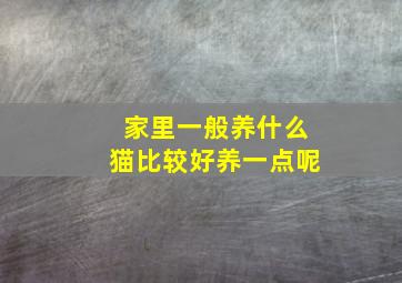 家里一般养什么猫比较好养一点呢