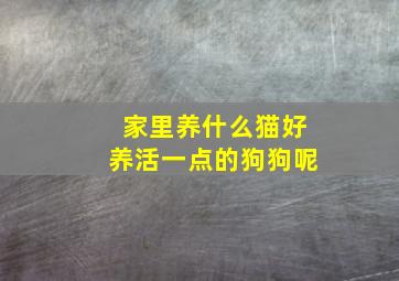 家里养什么猫好养活一点的狗狗呢