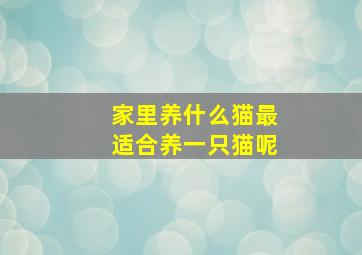 家里养什么猫最适合养一只猫呢