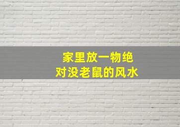 家里放一物绝对没老鼠的风水