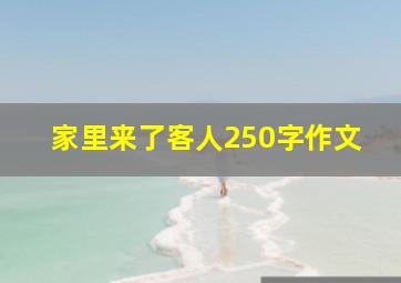 家里来了客人250字作文